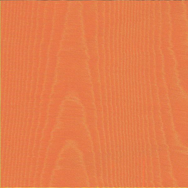 Burnt Orange