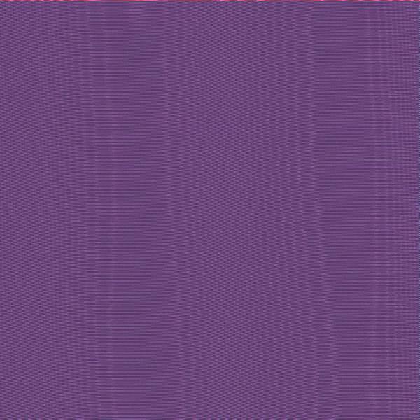 Wood Violet