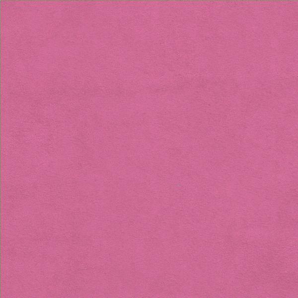 Raspberry