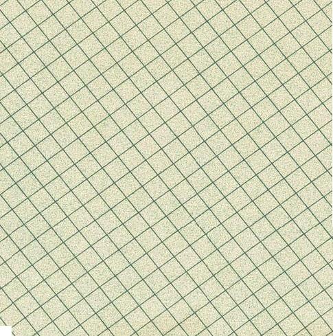 Silverpine