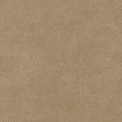 Buckskin