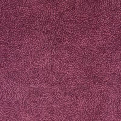 Raspberry