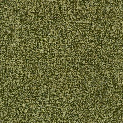 Dusky Cypress