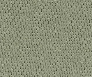 Eucalyptus