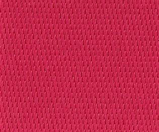 Raspberry