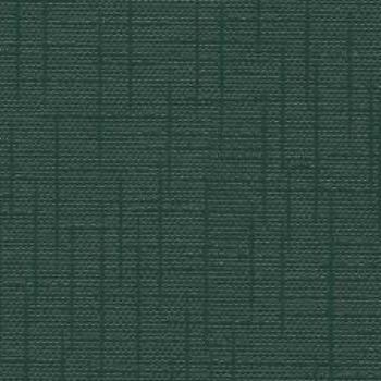 Forrest Green 0224