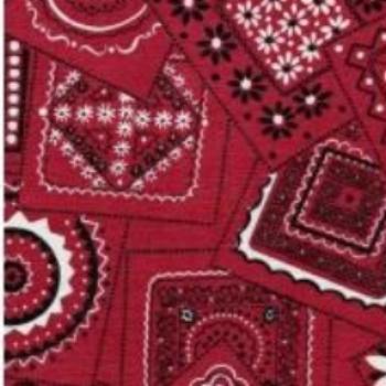 Bandana Red F0268