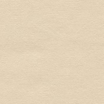 Beige 0297