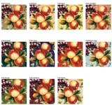 Sample of Premium Vinyl w/ Flannel Backing, Fruit Bowl Series, 10 Colors, S6109