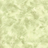 Celery