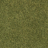 Dusky Cypress
