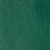 Polished Jade